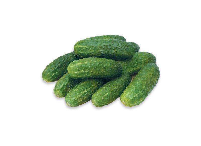 Prekė: Sveriami lietuviški trumpavaisiai agurkai