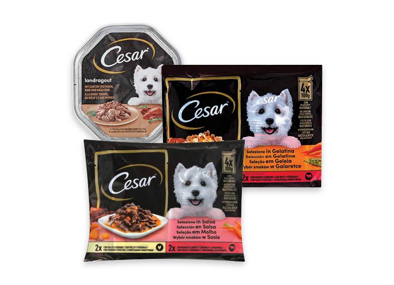 Konservuotam šunų ėdalui CESAR