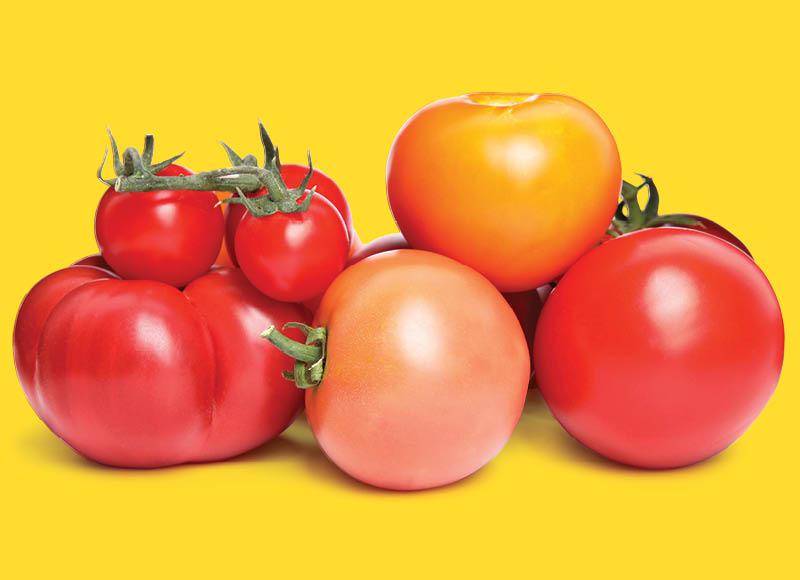 Sveriamiems pomidorams