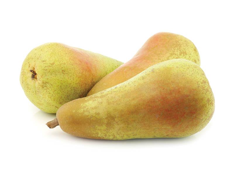Kriaušės ABATE