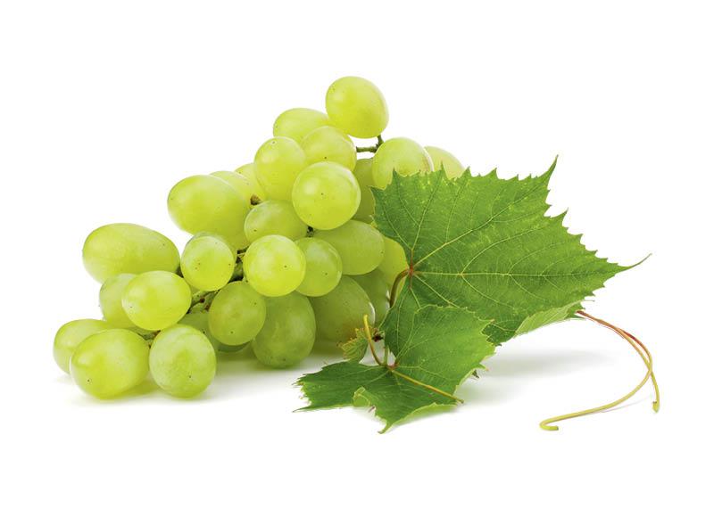 Fasuotos žaliosios ekologiškos vynuogės