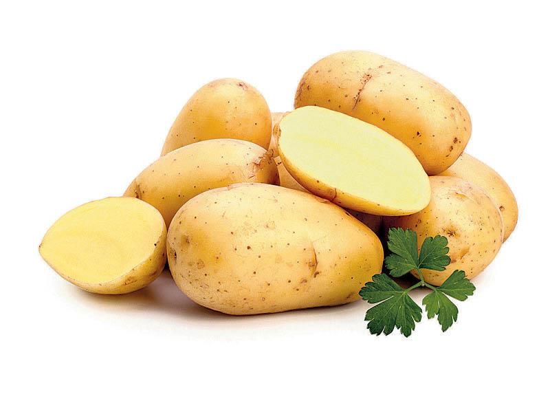 Šviežios plautos sveriamos bulvės