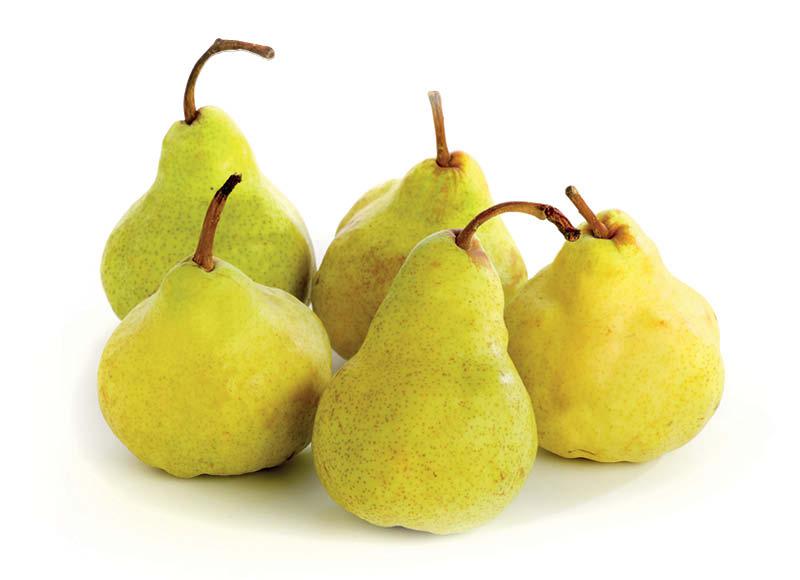 Kriaušės PACKHAM