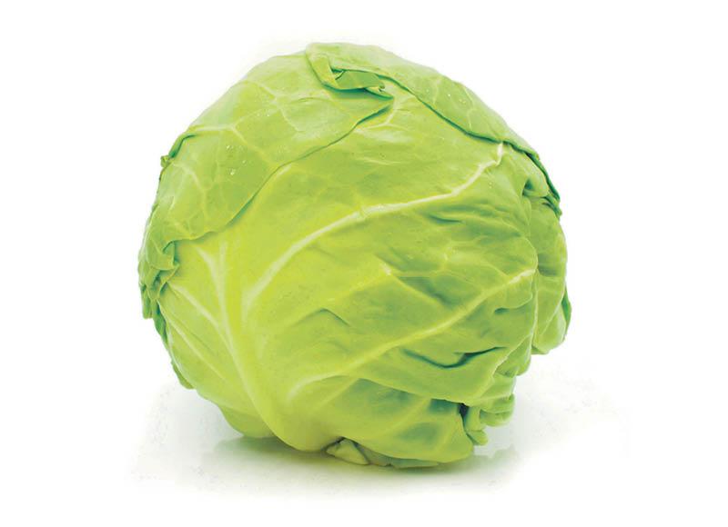 IKI ŪKIS salota ICEBERG