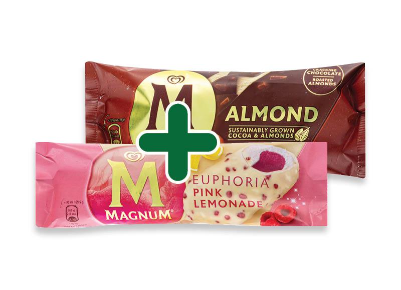 Ledai ant pagaliuko MAGNUM
