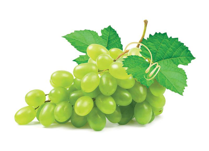 Fasuotos besėklės žaliosios vynuogės