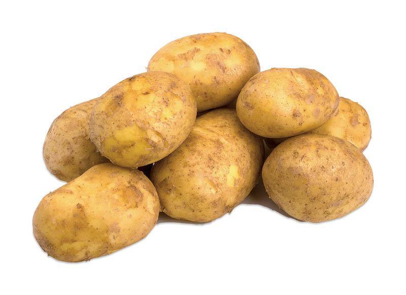 CLEVER sveriamos bulvės