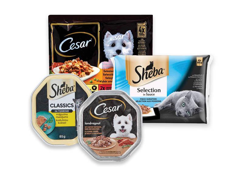 Šunų, kačių ėdalui CESAR, SHEBA