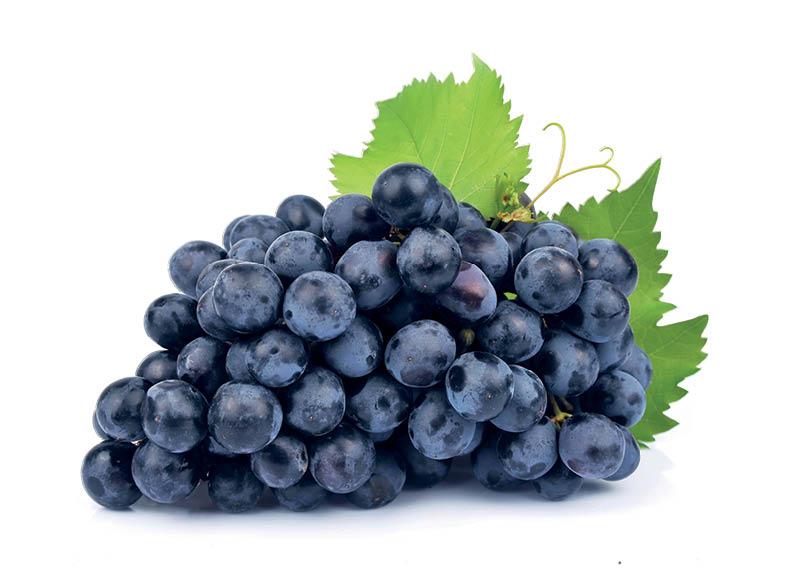 Fasuotos mėlynosios ekologiškos vynuogės