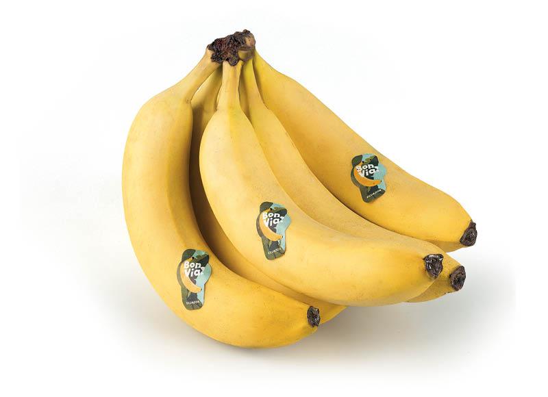BON VIA bananai