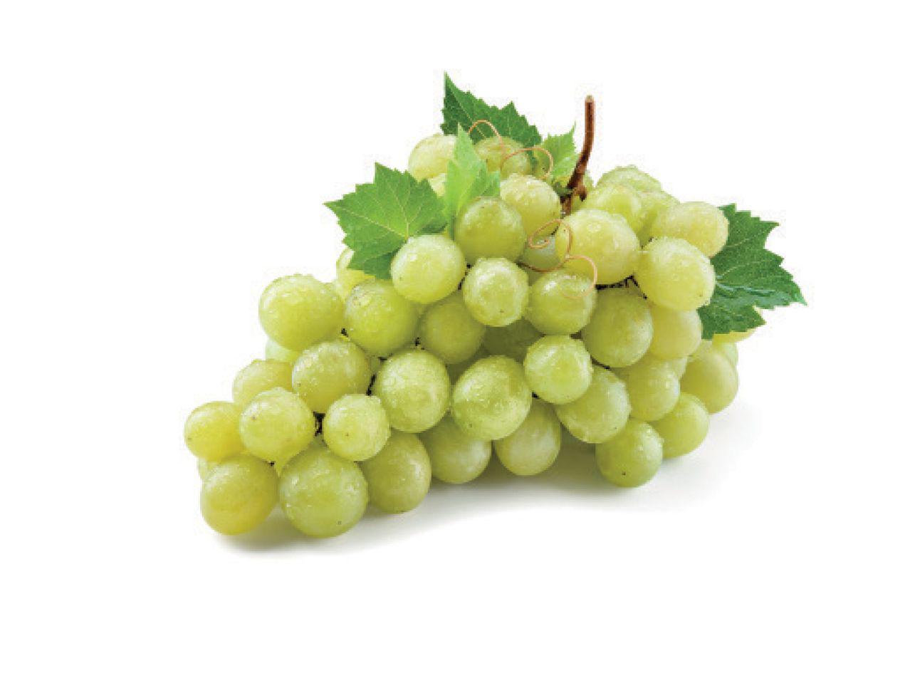Prekė: Žaliosios besėklės vynuogė