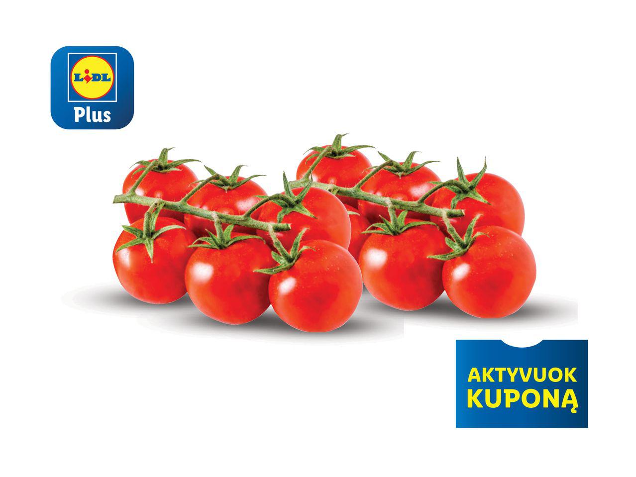 Prekė: Vynuoginiai pomidorai su šakelėmis „Premium“