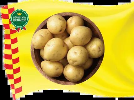 Šviežios lietuviškos bulvės