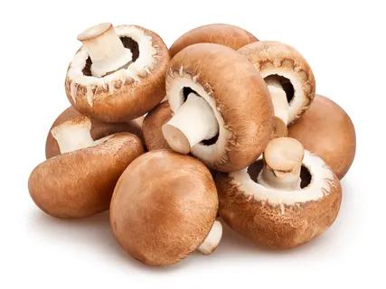 Rudieji pievagrybiai