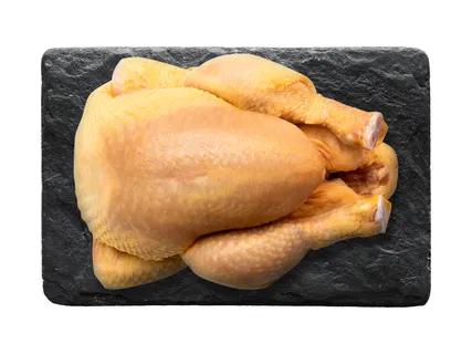 Šviežias kukurūzinis viščiukas