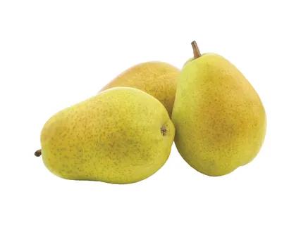 Kriaušės „Lucas“