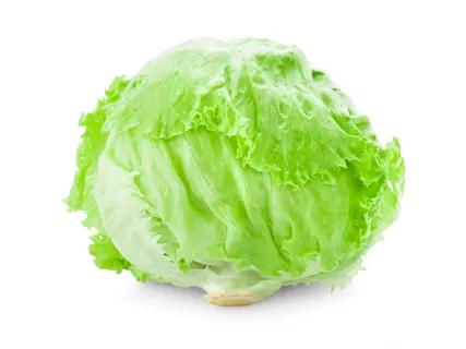 Gūžinė salota „Iceberg“