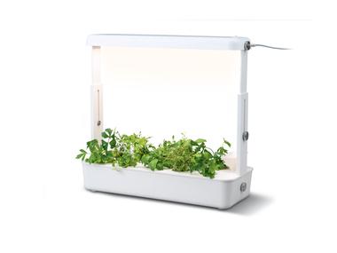 Augalų auginimo sistema su LED apšvietimu