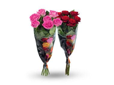 Prekė: Rožių puokštė „Premium“