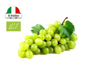Prekė: Ekologiškos žaliosios vynuogės be kauliukų