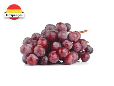 Prekė: Raudonosios vynuogės su sėklomis „Red Globe“