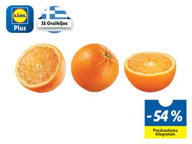 Apelsinai -54%