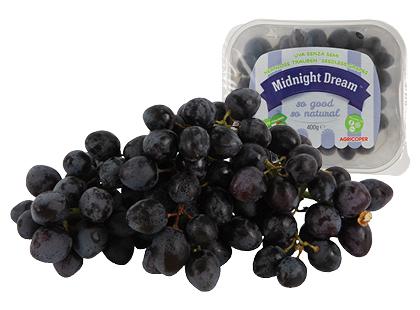 Prekė: Mėlynosios besėklės vynuogės MIDNIGHT DREAM*, fasuotos, 400 g