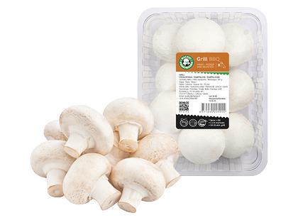 Pievagrybiai BALTIC CHAMPIGNONS GRILL, fasuoti, 500 g