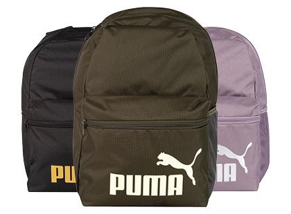 Kuprinė PUMA*, 3 rūšių, 50 × 37 × 8 cm, 1 vnt.