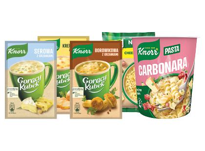 Perkant 2 ar daugiau produkcijos KNORR, taikoma 40 % nuolaida*