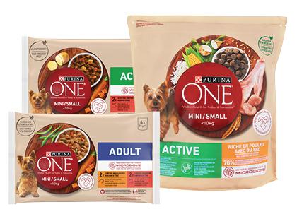 Šunų ėdalui ir skanėstams ONE*