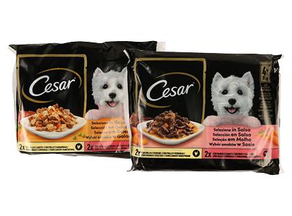 Konservuotas šunų ėdalas CESAR su jautiena ir vištiena, 2 rūšių, 1 pak. (4 vnt. x 100 g)