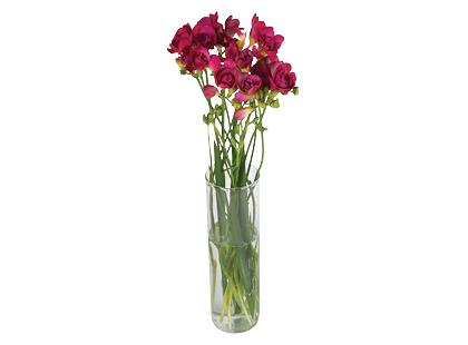 Frezijų puokštė*, 50 cm, 1 puokštė – 11 vnt.