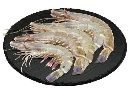Atšildytos nevirtos baltakojės blyškiosios krevetės, 70/80 dydis, 1 kg