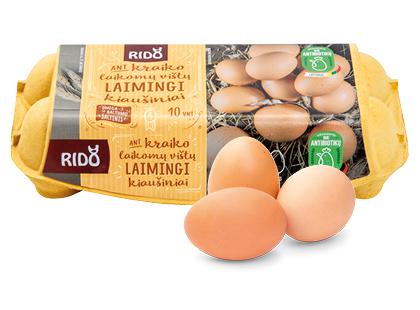 Prekė: Ant kraiko laikomų vištų kiaušiniai RIDO, 530 g, 1 dėž. (10 vnt.)