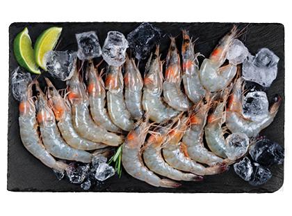 Atšildytos nevirtos baltakojės blyškiosios krevetės, 70/80 dydžio, 1 kg