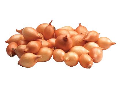 Prekė: Geltonųjų svogūnų sėjinukai STURON; STUTTGARTER, 2 rūšių, 1 kg