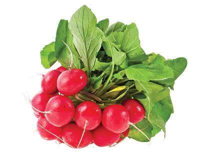 Ridikėliai, fasuoti, 100 g