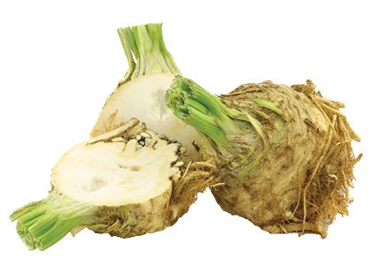 Salierų šaknys*, 1 kg