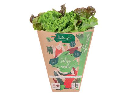 KIETAVIŠKIŲ salotų asorti vazonėlyje*, 75 g