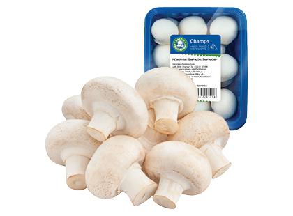 Pievagrybiai BALTIC CHAMPIGNONS*, fasuoti, 250 g