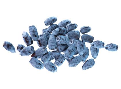 Sausmedžių uogos*, fasuotos, 200 g