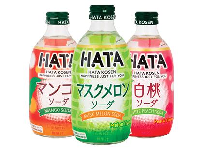 Gazuotas gaivusis gėrimas HATAKOSEN SODA*, 3 rūšių, 300 ml