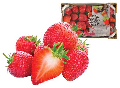 Braškės dėžutėje, 1 kg