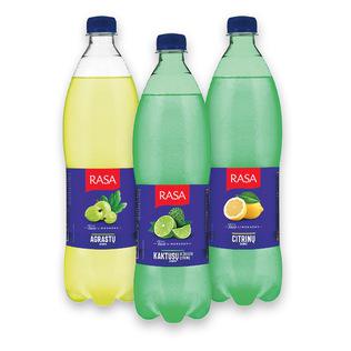 Gazuotas gaivusis gėrimas RASA (3 rūšių), 1 l