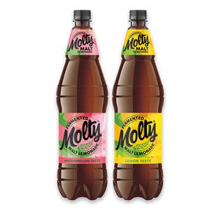 Gazuotas fermentuotas gėrimas MOLTY (2 rūšių), 1,5 l