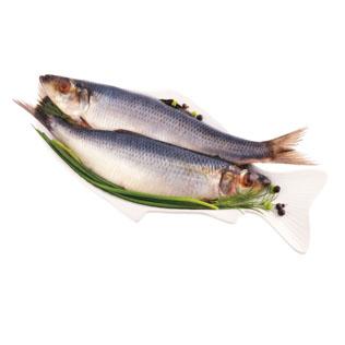 Sveriamos sūdytaos atlantinės silkės su galvomis BAJORIŠKA, 1 kg