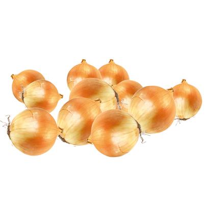 Prekė: Sveriami svogūnų sodinukai (dyd.8-24mm), 1 kg